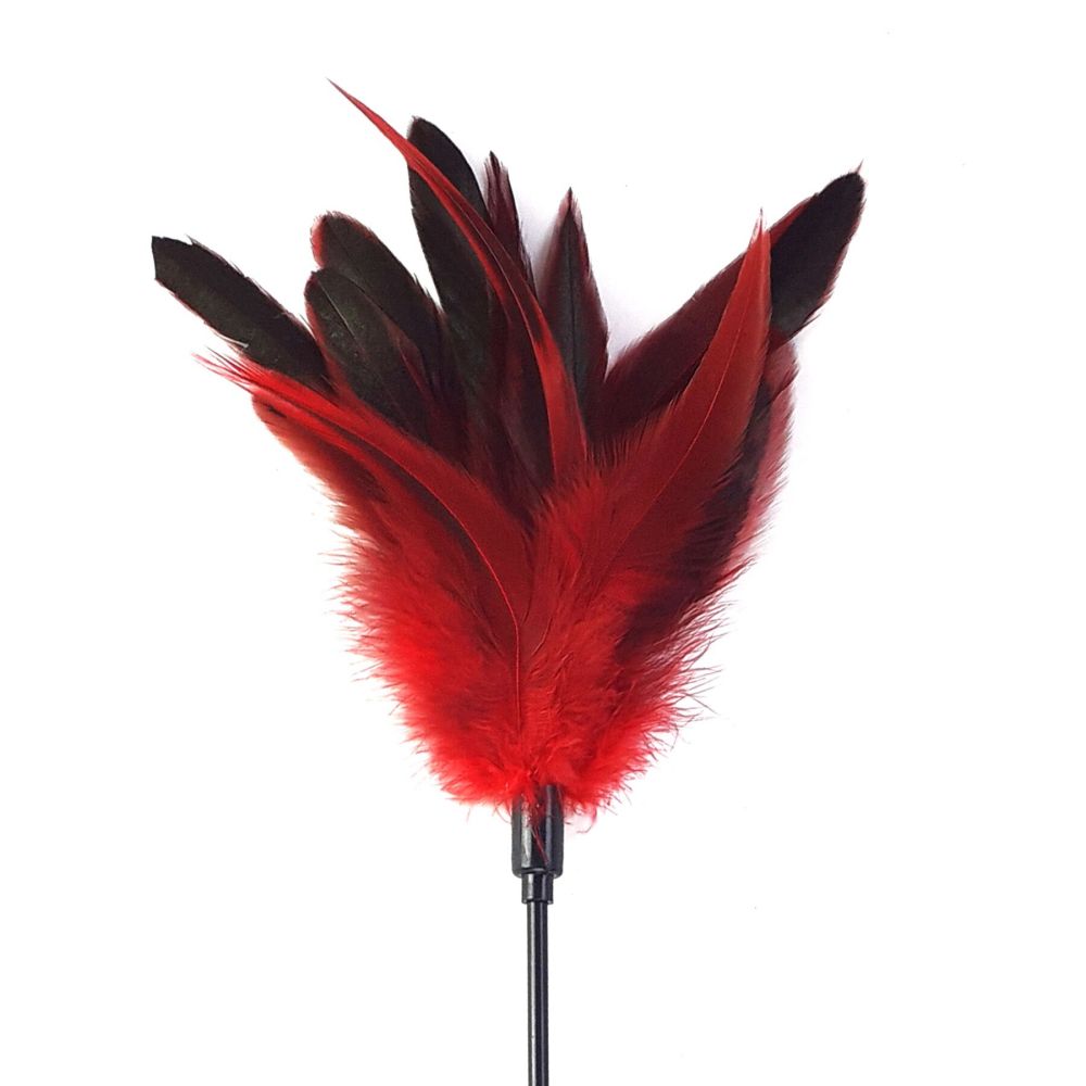 фото Лоскітка червона Art of Sex - Feather Paddle, перо молодого півня