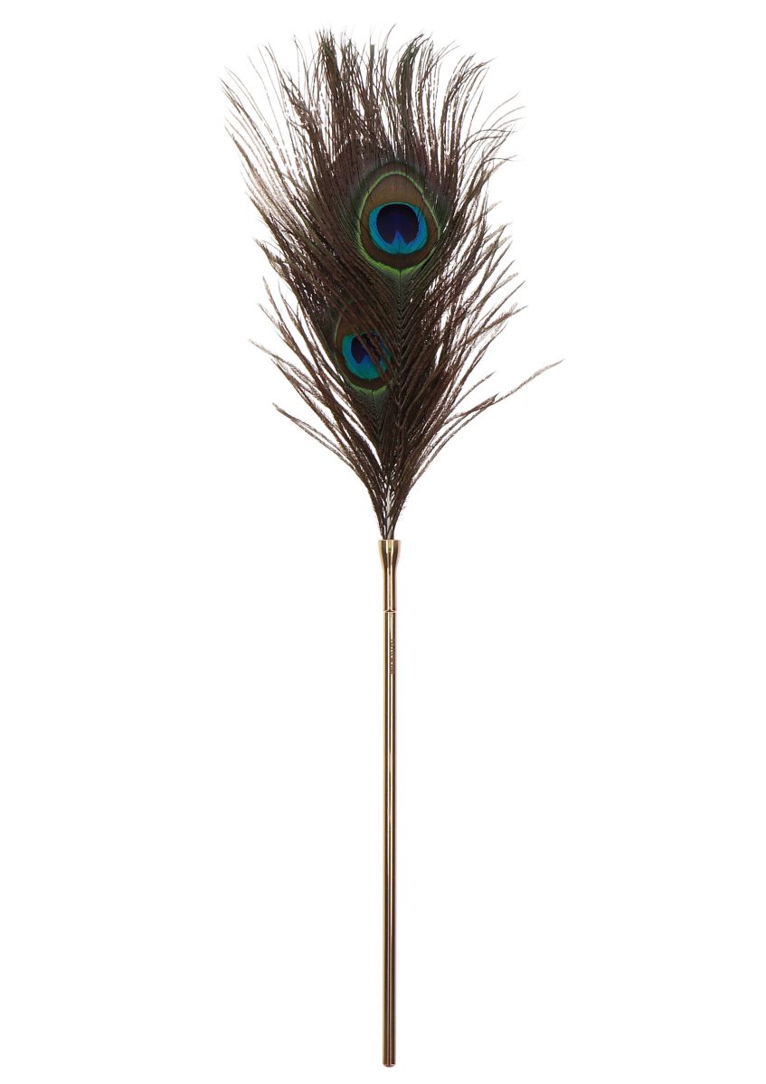 фото Перо Peacock Tickler