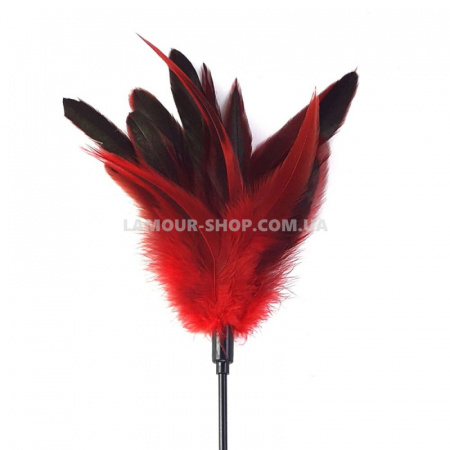 фото Лоскітка червона Art of Sex - Feather Paddle, перо молодого півня