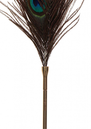 фото Перо Peacock Tickler