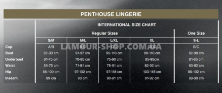 фото Трусики Penthouse - Dangerous darling Black M/L