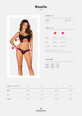 фото Комплект Obsessive Roxelia 2-pcs set M/L