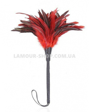 фото Лоскітка з пір'я  