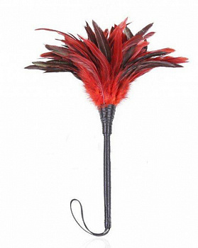 Лоскітка з пір'я  