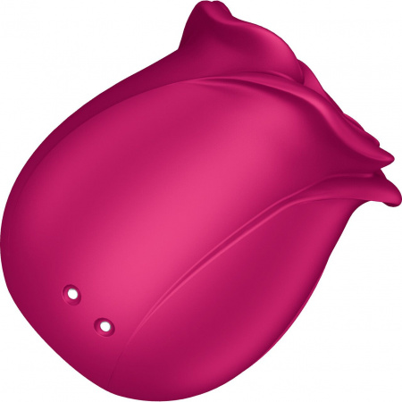 фото Вакуумний кліторальний стимулятор Satisfyer Pro 2 Classic Blossom