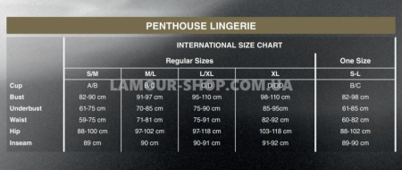 фото Комплект пеньюар, трусики Penthouse - Hypnotic Power Black S/L