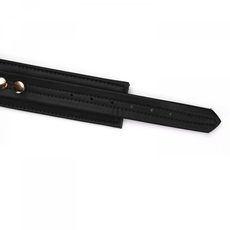 фото Нашийник з повідцем  Liebe Seele Black Organosilicon Collar with Leash