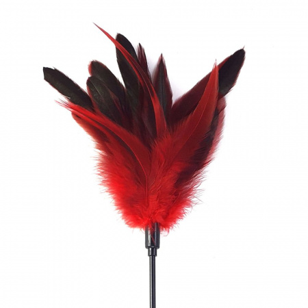 фото Лоскітка червона Art of Sex - Feather Paddle, перо молодого півня