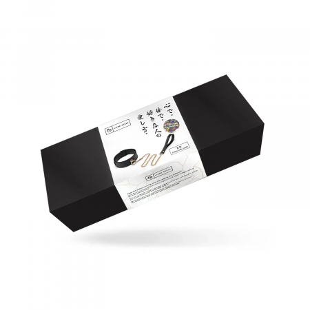 фото Нашийник з повідцем  Liebe Seele Black Organosilicon Collar with Leash