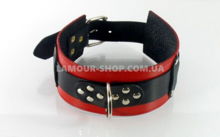 фото Ошейник Scappa