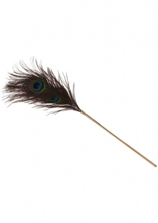 фото Перо Peacock Tickler