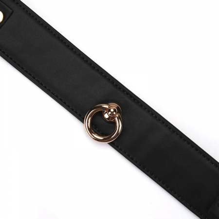 фото Нашийник з повідцем  Liebe Seele Black Organosilicon Collar with Leash