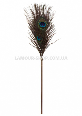 фото Перо Peacock Tickler
