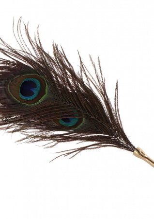 фото Перо Peacock Tickler