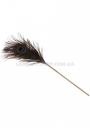 фото Перо Peacock Tickler